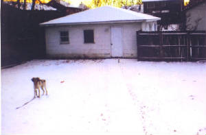 3712coloradobackyard.jpg