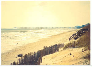 topsail2011art.jpg
