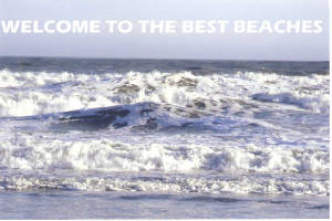 topsaildunesmore1.jpg